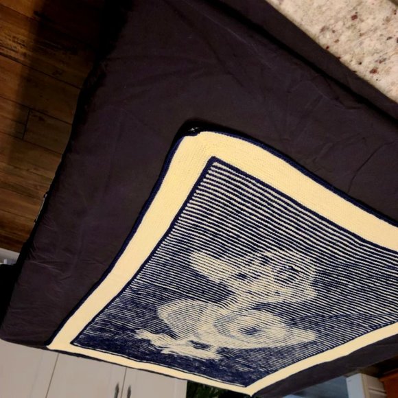 Illusion Duck Baby Blanket or Wall Hanging - Picture 1 of 4